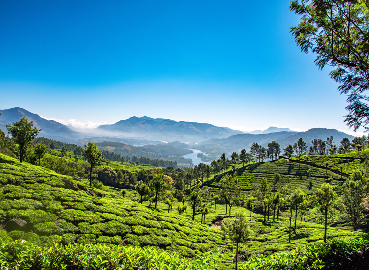 Munnar