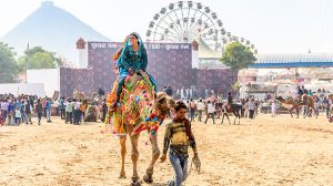 Pushkar-Desert-Camps