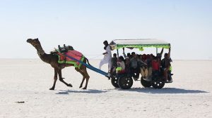 Rann-of-Kutch-Gujarat