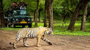 Ranthambore-National-Park