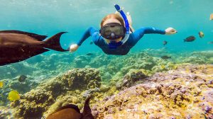 Snorkelling