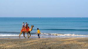 Tarkarli-Beach