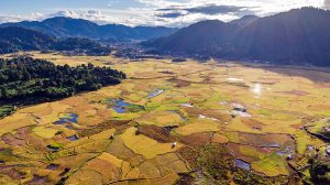 ziro-valley