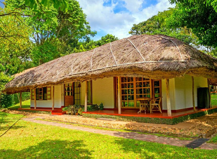 Periyar-Spice-&-Ayurvedic-Garden,-Thekkady