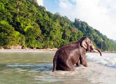 Adventure in Andaman with Neil Island