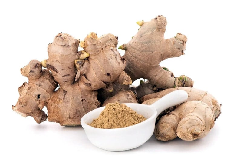 Ginger