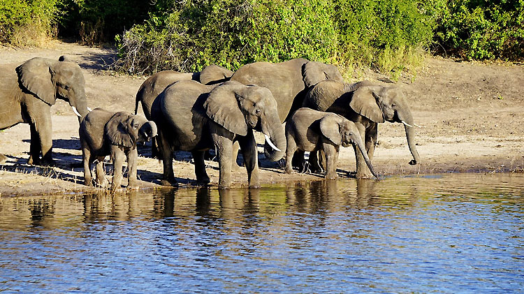 Kalibiru-national-park