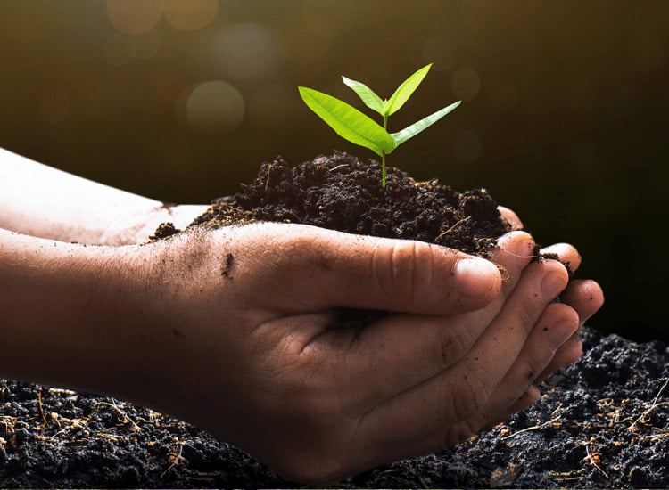 Sustainable-Practices-and-Accommodations