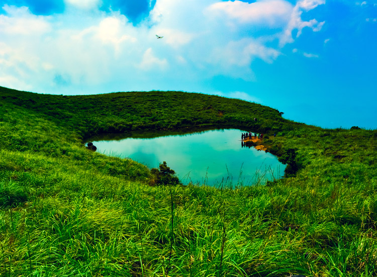 Wayanad