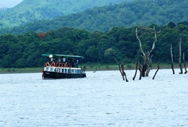 Boating and Wildlife Sightseeing