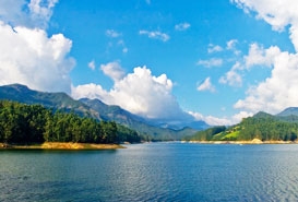 Mattupetty Dam, Munnar