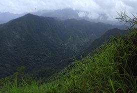 Neelimala View Point