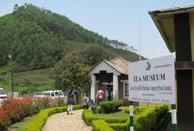 Tata Tea Museum in Munnar