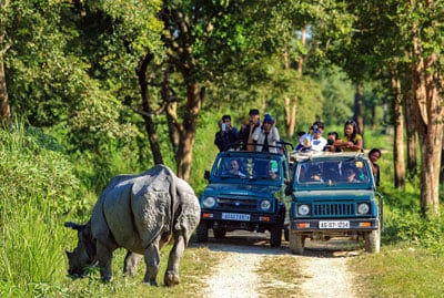Assam Meghalaya Wildlife Tour