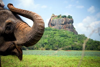 Delightful Sri Lanka Tour