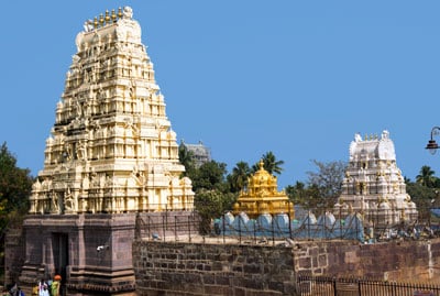 Appealing Andhra Pradesh Tour