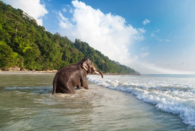 Exotic Andaman Nicobar Tour
