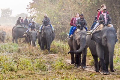Assam Nagaland Tour