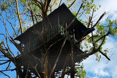 7 Days Best of Kerala with Treehouse Stay