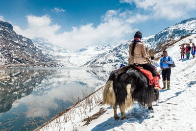 Sikkim Darjeeling Gangtok Tour