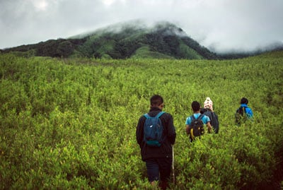 Dzukou Valley Trekking Tour