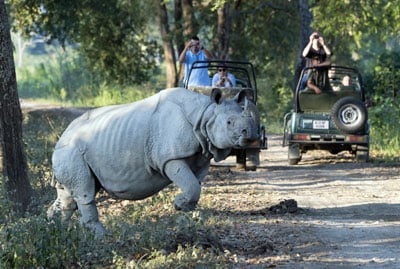 Blissful Meghalaya with Kaziranga