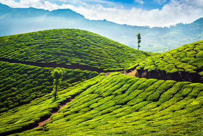 Romantic Hills of South India