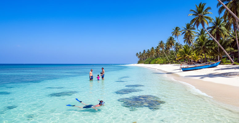 Elephant Beach