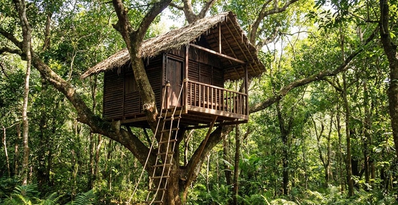Wayanad treehouses