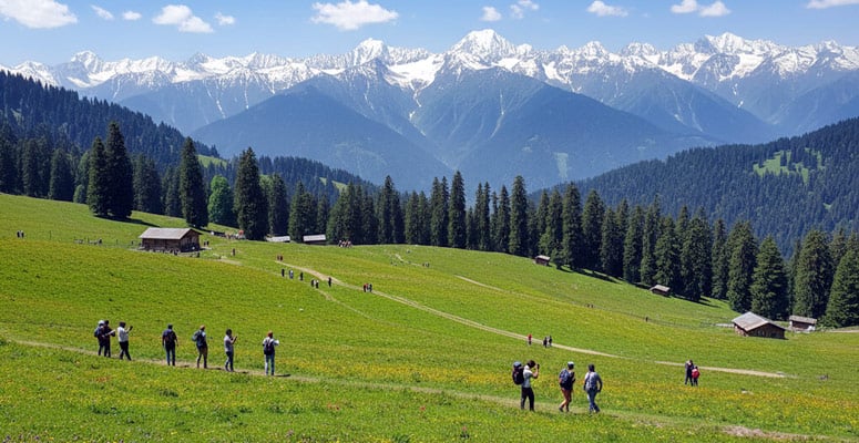 Khilanmarg meadow in Gulmarg