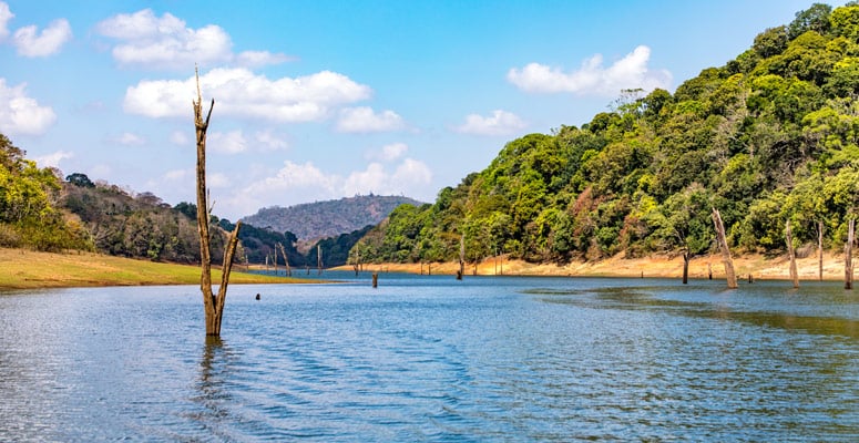 Periyar