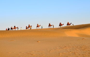 Enjoyable Rajasthan Tour