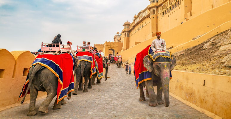 Amber Fort (Amer Fort), Jaipur