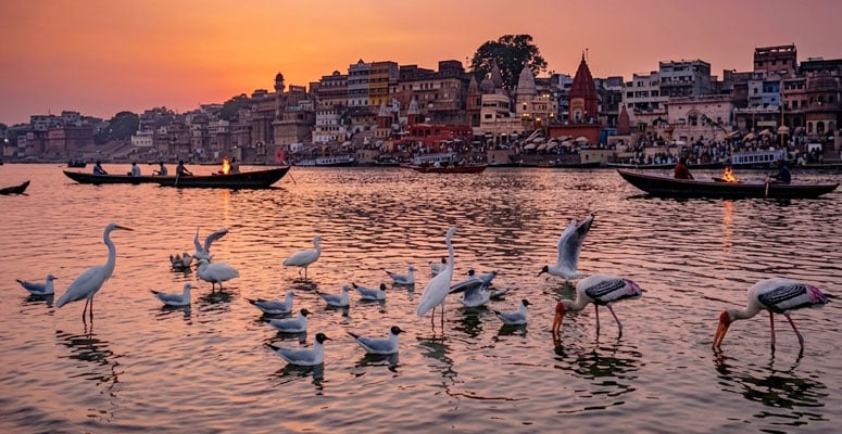 Best Time To Visit For Wildlife Lovers