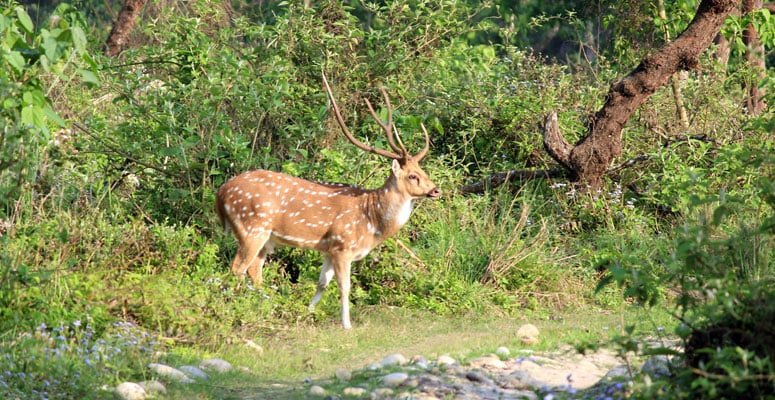 Best Time for Nature & Wildlife Lovers