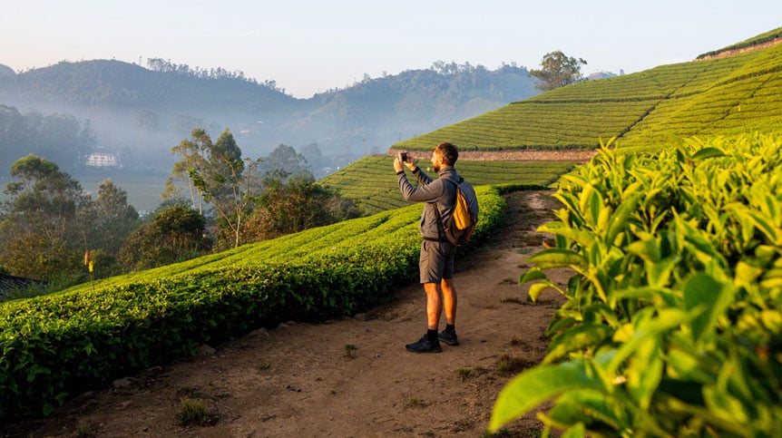 Best-Time-to-Visit-Munnar