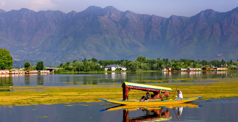 Best Months to Experience Dal Lake