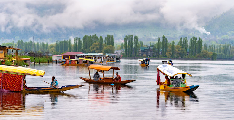Understanding Srinagar's Lake Layer Before Planning