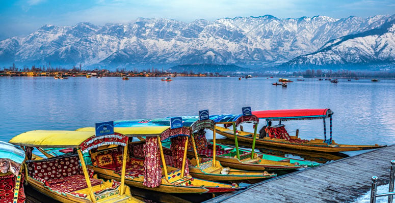 Which Travellers Will Enjoy Dal Lake Most?
