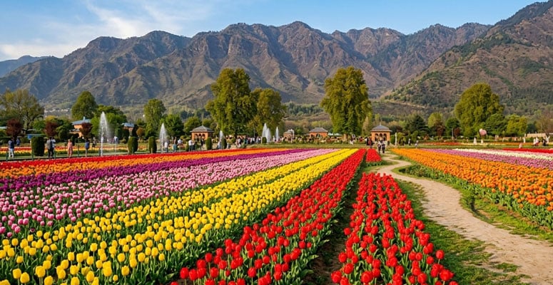 Which Travellers Will Enjoy Srinagar Gardens Most