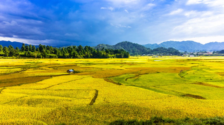 Ziro Valley
