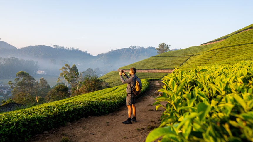 Munnar Tourist Places: Smart Sightseeing for Tea Hills and Waterfalls