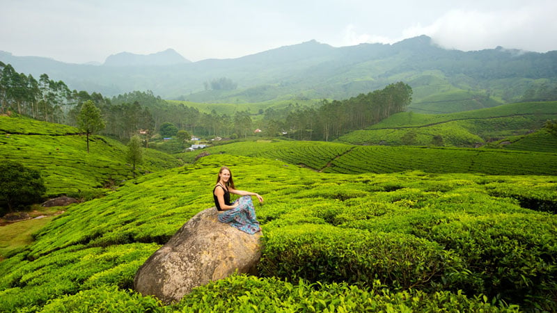 Munnar, Kerala