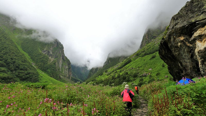Valley of Flowers, Uttarakhand