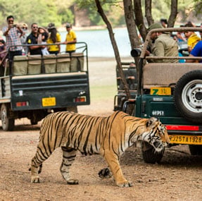 Mussoorie Nainital Corbett Kausani Tour