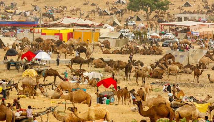 Celebrate these 25 Popular Festivals in India in Winter