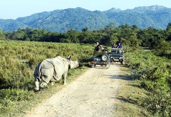 Assam Meghalaya Wildlife Tour
