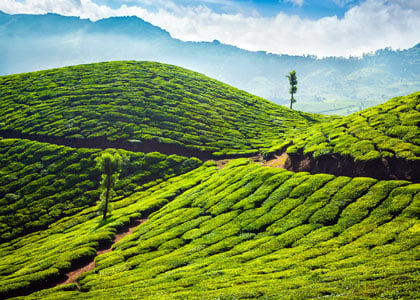 6 Days Kerala Budget Tour