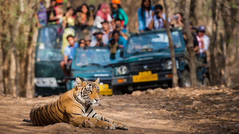 Jim Corbett National Park