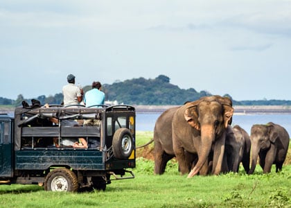 5 Days Sri Lanka Heritage Tour Package